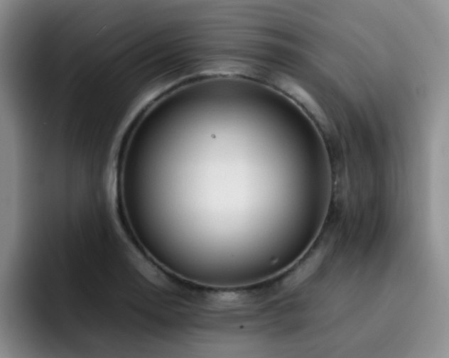 X0000092231130200709141101