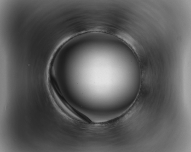 X0000092231135200709141101
