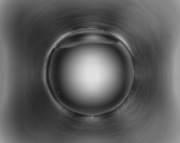 X0000092231139200709141101