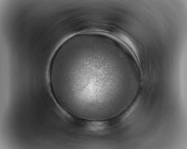 X0000092231141200709141101