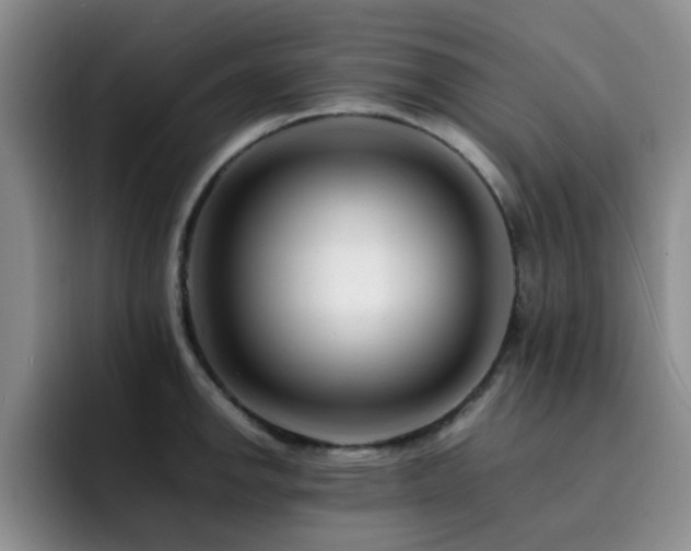 X0000092231142200709141101