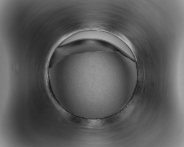 X0000092231144200709141101