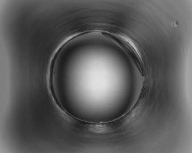 X0000092231147200709141101