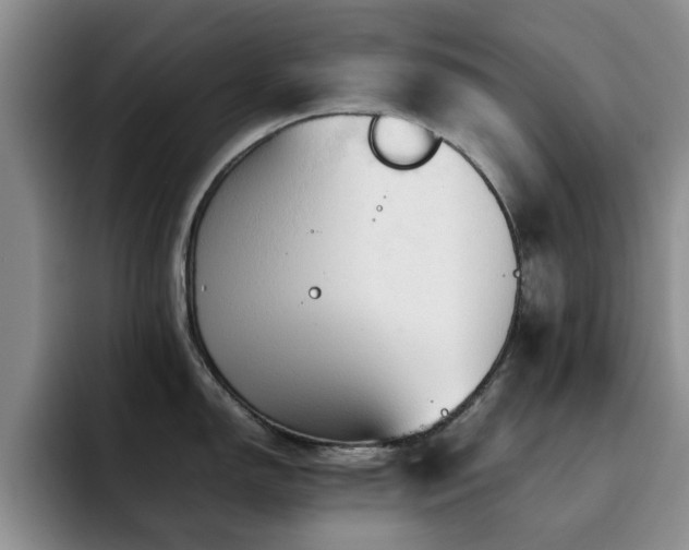 X0000092231150200709141101