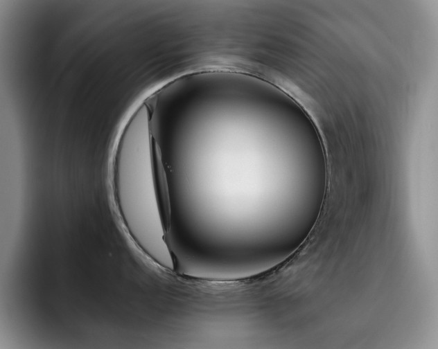 X0000092231152200709141101