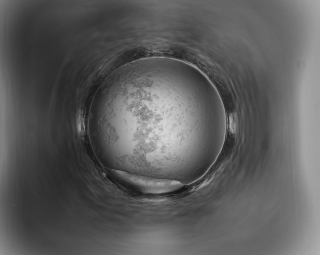 X0000092231155200709141100