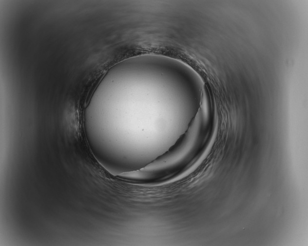 X0000092231156200709141100