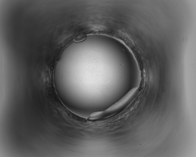 X0000092231158200709141100