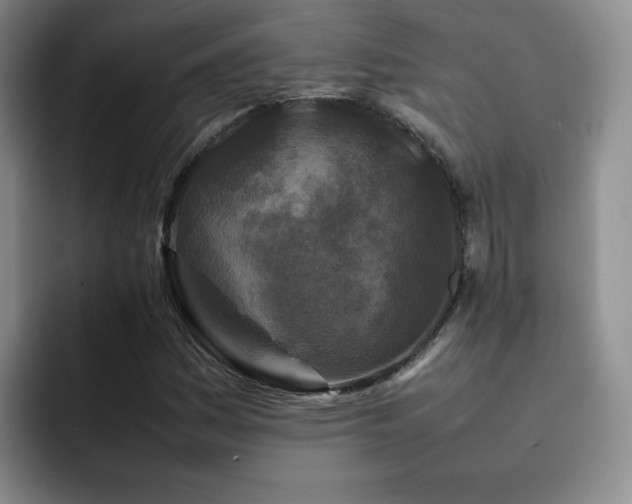 X0000092231161200709141100