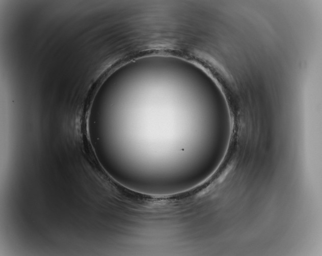 X0000092231162200709141100