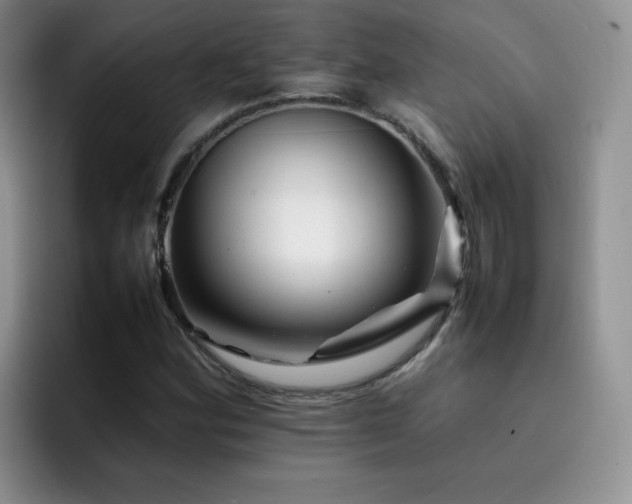 X0000092231164200709141100