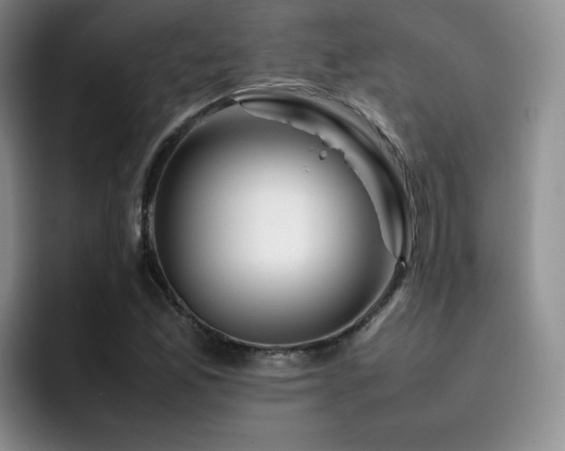 X0000092231165200709141100