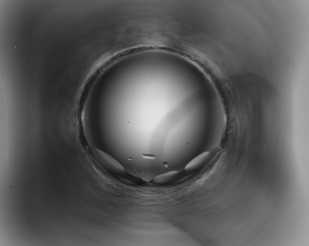 X0000092231168200709141100