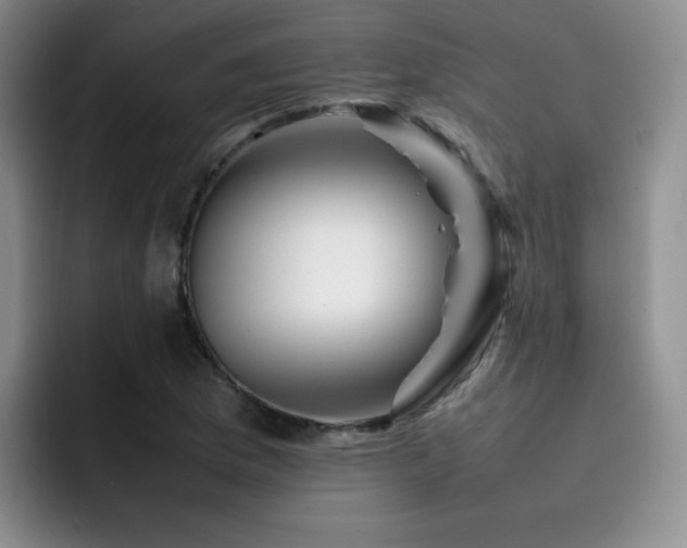 X0000092231169200709141100