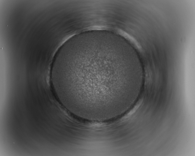 X0000092231170200709141100