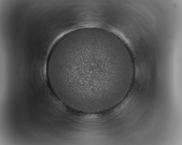X0000092231174200709141100