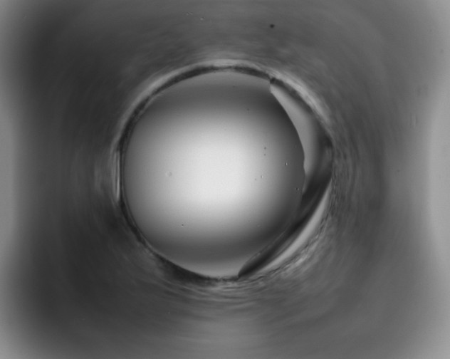X0000092231175200709141100
