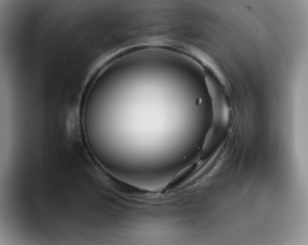 X0000092231176200709141100