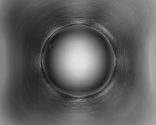 X0000092231178200709141100