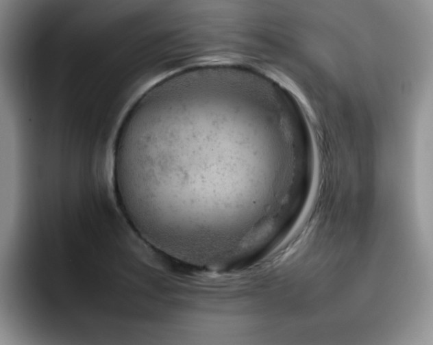 X0000092231179200709141100