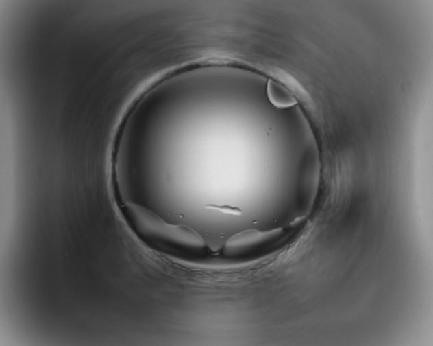 X0000092231183200709141100