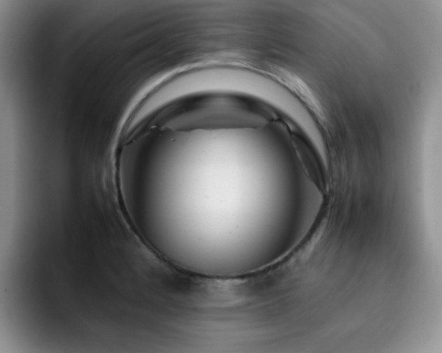 X0000092231184200709141100