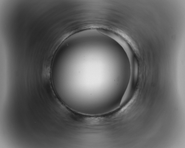 X0000092231185200709141100