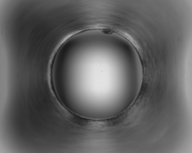 X0000092231187200709141100