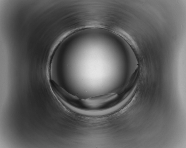 X0000092231188200709141100