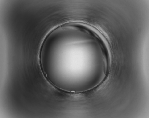 X0000092231189200709141100