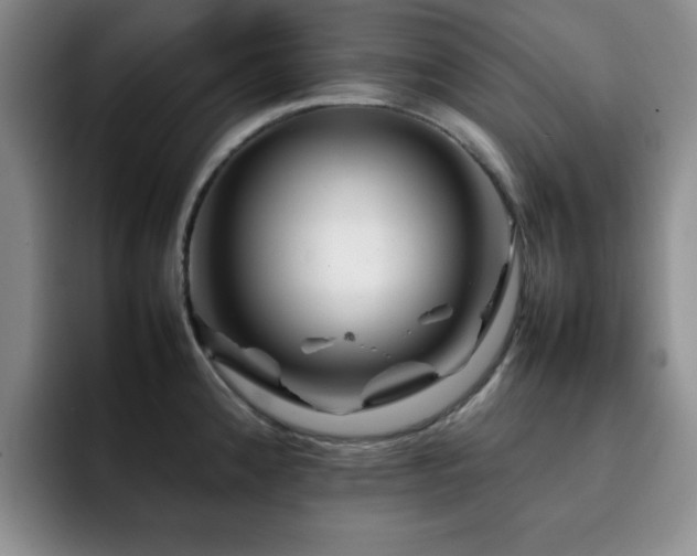 X0000092231192200709141100