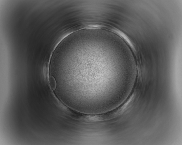X0000092231194200709141100