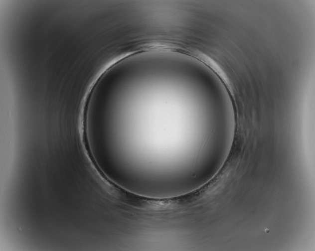 X0000092231195200709141100