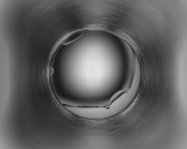 X0000092231196200709141100