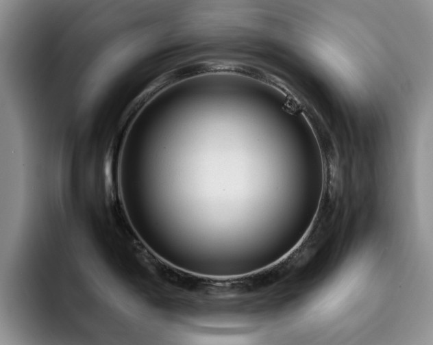 X0000092231198200709141100