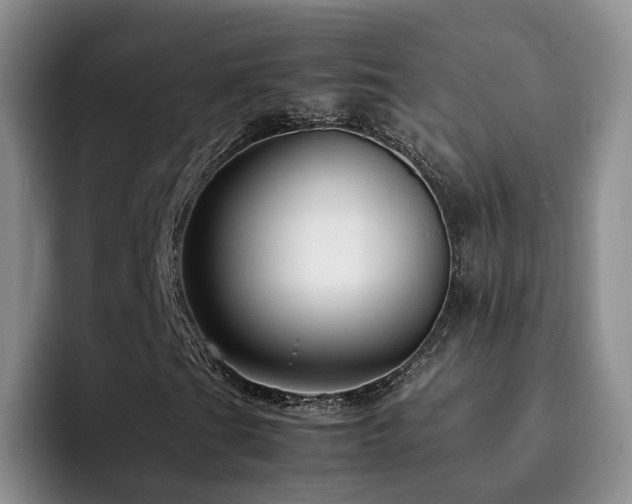 X0000092231201200709141059