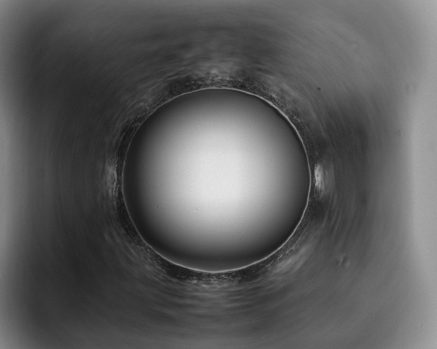 X0000092231203200709141059