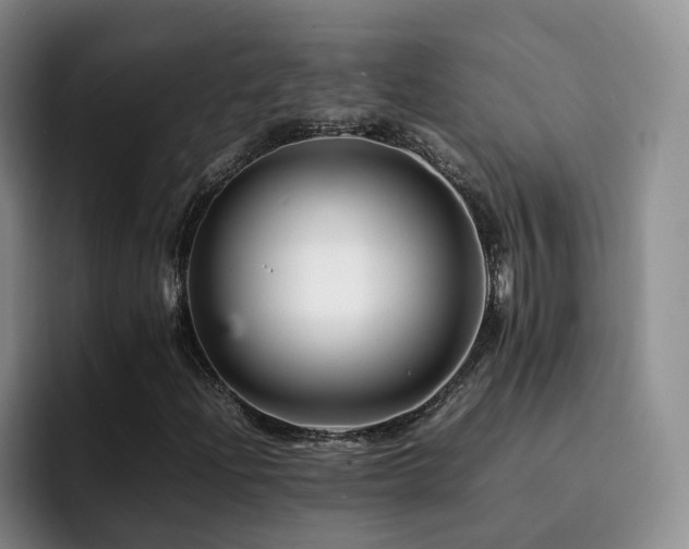 X0000092231204200709141059