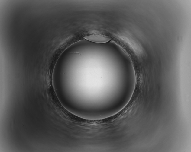 X0000092231205200709141059