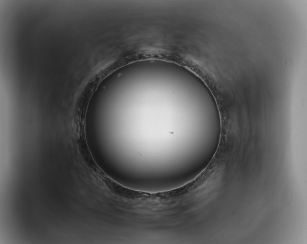 X0000092231207200709141059