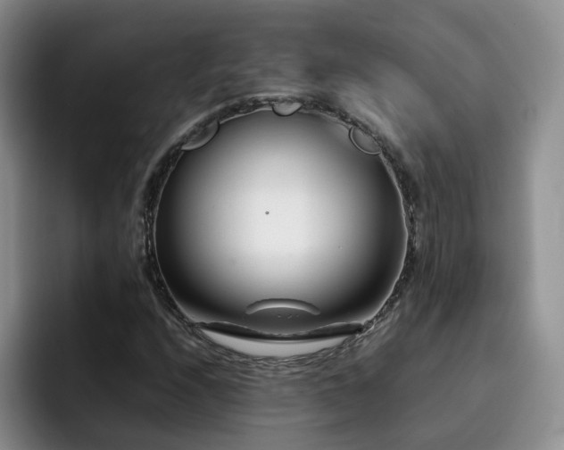 X0000092231208200709141059