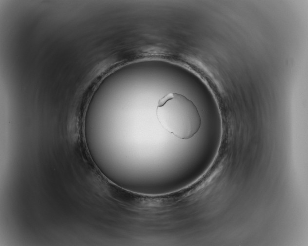 X0000092231211200709141059
