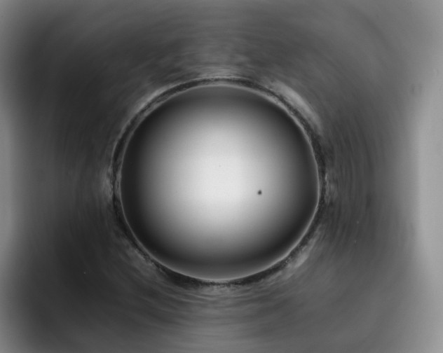X0000092231212200709141059