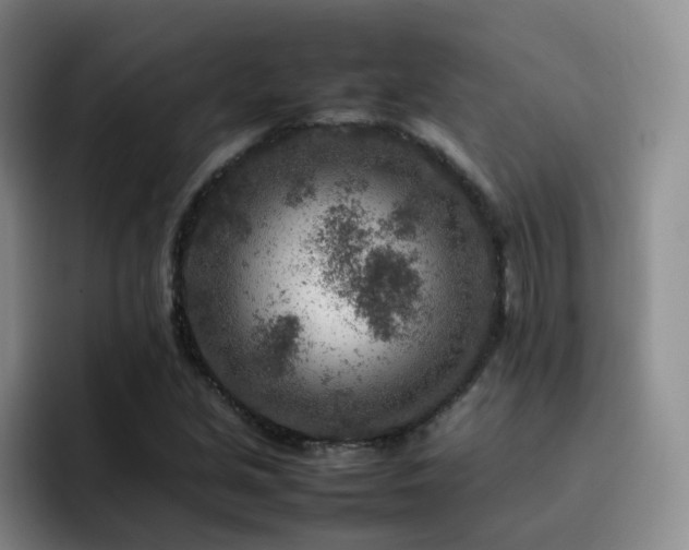 X0000092231213200709141059