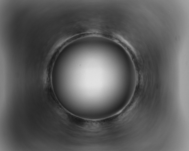 X0000092231215200709141059