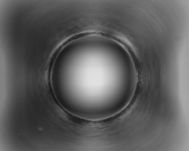 X0000092231216200709141059