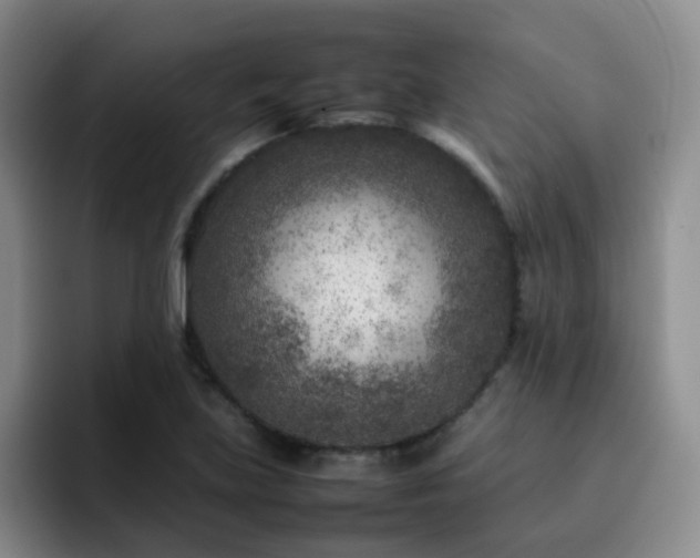 X0000092231219200709141059