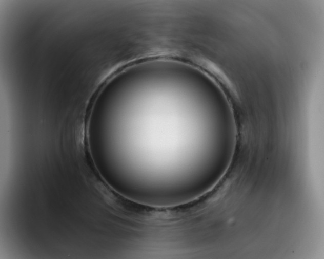 X0000092231220200709141059