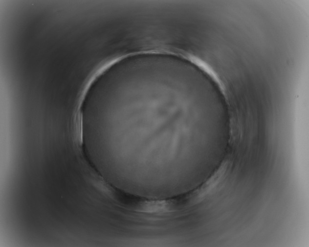 X0000092231223200709141059