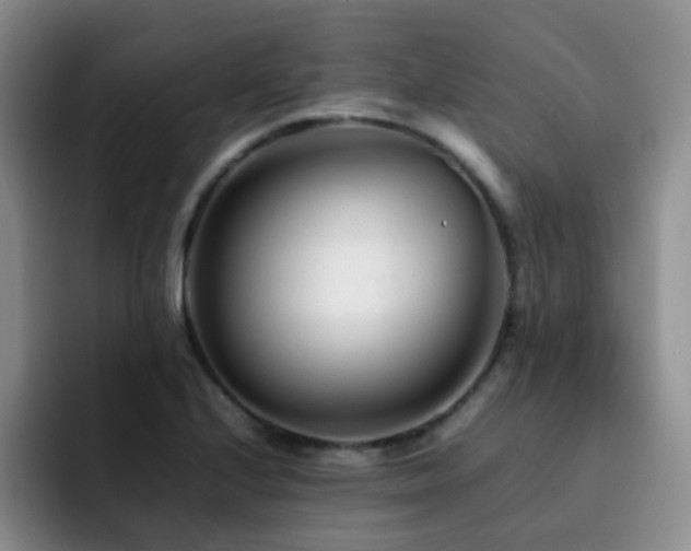 X0000092231224200709141059